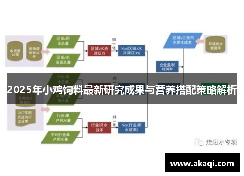 2025年小鸡饲料最新研究成果与营养搭配策略解析