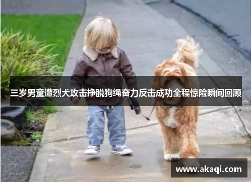 三岁男童遭烈犬攻击挣脱狗绳奋力反击成功全程惊险瞬间回顾 三岁男童遭烈犬攻击挣脱狗绳奋力反击成功全程惊险瞬间回顾